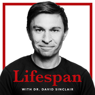 What to Eat & When to Eat for Longevity | Episode 2